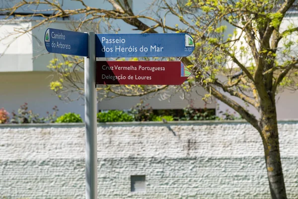 Sinal Direcional Para Caminho Arboreto Cruz Vermelha Portuguesa Parque Das — Fotografia de Stock