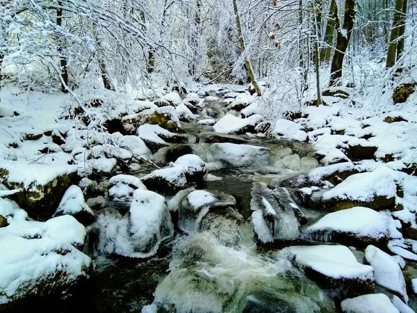 Frusen Bäck Vintern Vitosha Bulgarien — Stockfoto
