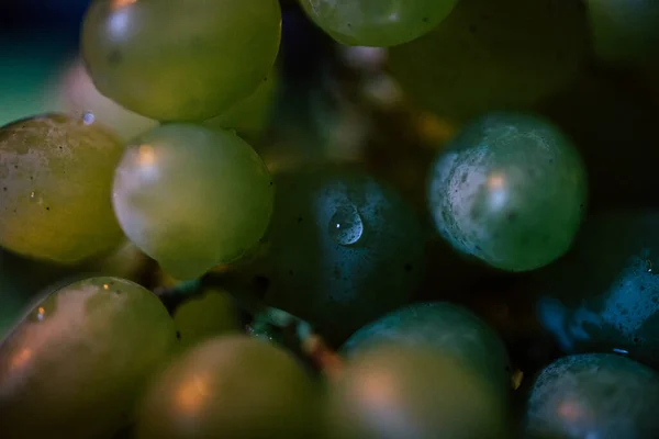 Eine Nahaufnahme Von Grünen Frischen Trauben Die Mit Wassertropfen Bedeckt — Stockfoto