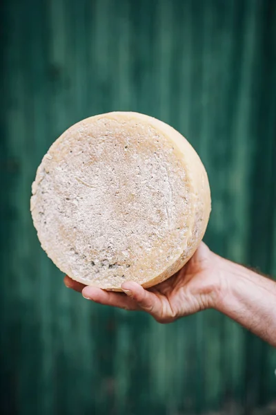 Yakın Plan Bir Üstünde Taze Tekerlek Peyniri — Stok fotoğraf