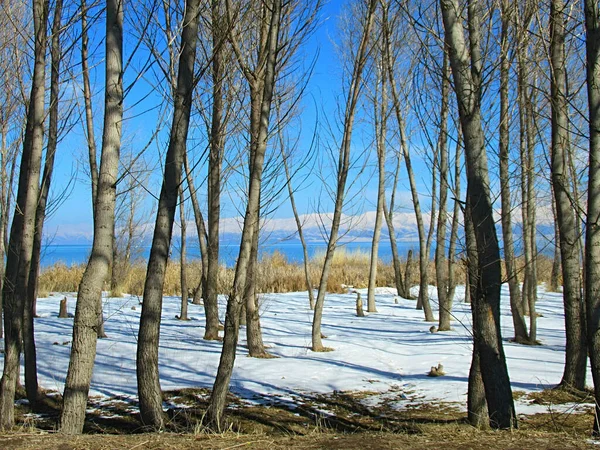 Hermoso Paisaje Invernal Lago Sevan Armenia Día Soleado — Foto de Stock