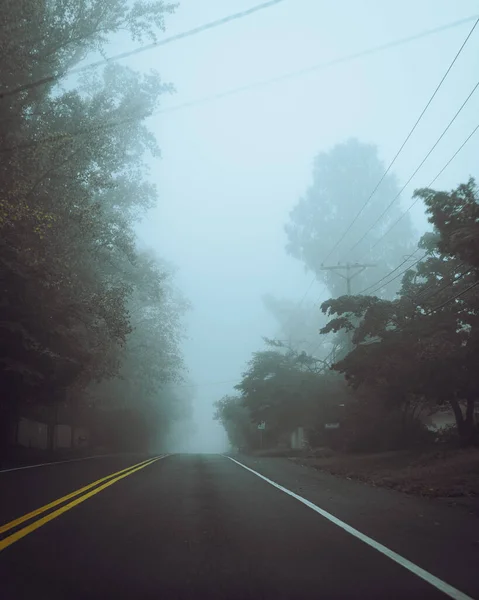 Una Vista Largo Camino Rodeado Árboles Altos Día Niebla —  Fotos de Stock