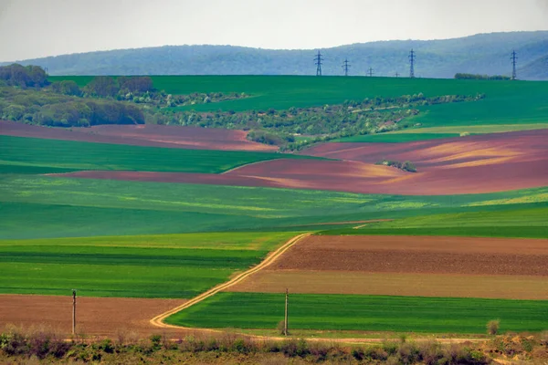 Vistas Incríveis Dobrogea County Romênia — Fotografia de Stock