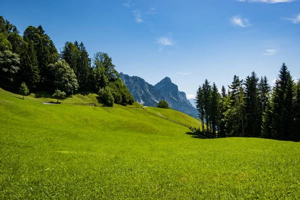 Paisaje Del Prado Con Cielo Azul Sattel Suiza — Foto de Stock