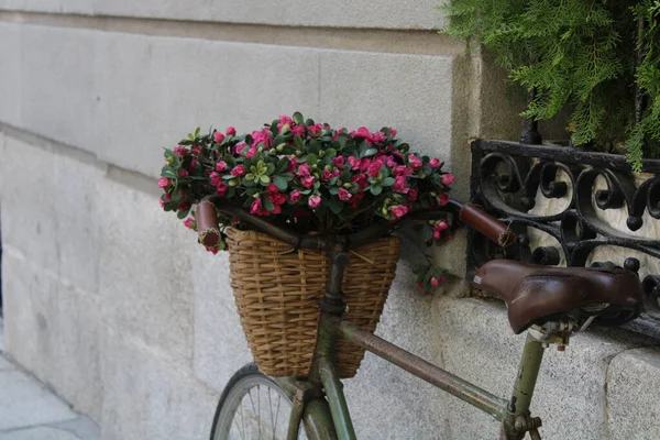 Closeup Beautifully Designed Basket Pink Flowers Vintage Bicycle Leaning Brick — Stock Photo, Image