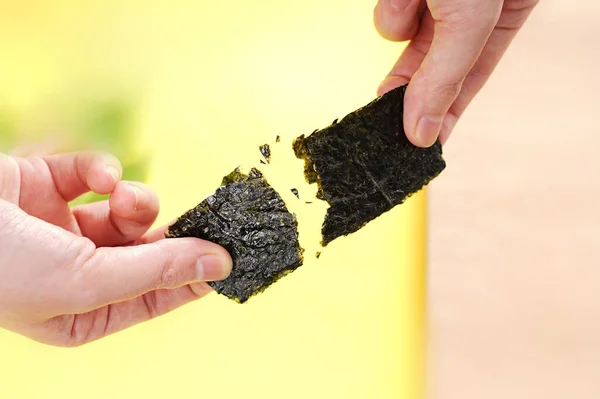 Las Manos Persona Agrietando Una Alga Seca —  Fotos de Stock