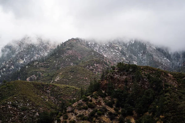Uma Montanha Com Árvores Verdes Cobertas Com Nevoeiro Pesado Sul — Fotografia de Stock
