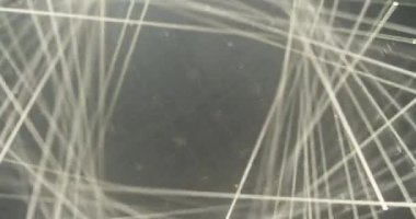 Japonya 'da bir ışık stüdyosunda ışık gösterisi