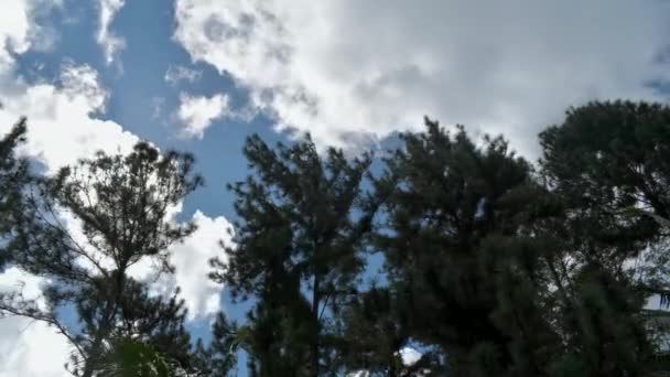 Una Vista Del Timelapse Las Nubes Que Pasan Cielo Azul — Vídeo de stock