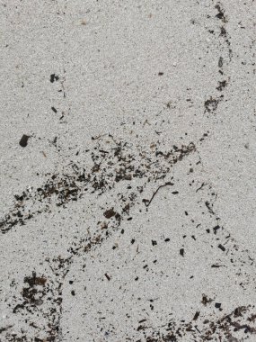 İzlanda 'da karla kaplı kıyıların dikey çekimi