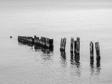 Sakin denizdeki ahşap dalgaların gri ölçekli görüntüsü