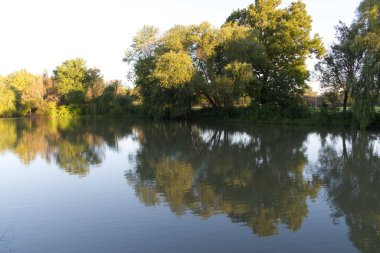 Nehir kenarındaki sonbahar ormanı sudaki ağaç yansımalarıyla kaplı.