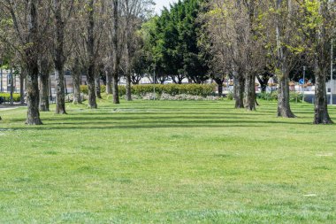 Lizbon 'daki Parque das Nacoes' da güzel bir bahçe boyunca yürüyen bir yol.