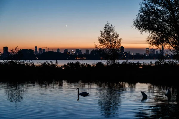 Een Luchtfoto Van Een Prachtig Meer Rotterdam Nederland — Stockfoto