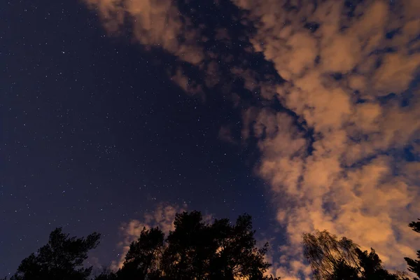 Низкий Угол Вершины Деревьев Против Облачного Звездного Ночного Неба — стоковое фото