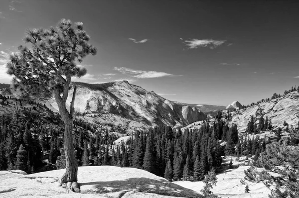 Uma Foto Tons Cinza Paisagem Montanhosa Nevada Parque Nacional Yosemite — Fotografia de Stock
