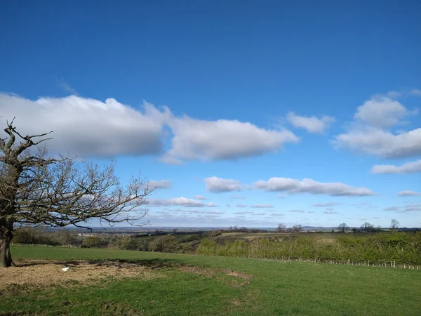 青と曇りの空に緑の畑が広がる美しい風景 — ストック写真