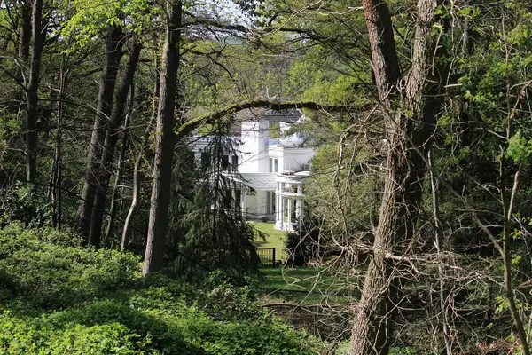 晴れた日には木を通して現代の家の美しい景色 — ストック写真