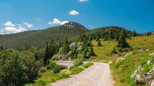 Een Schilderachtig Landschap Van Velebit Bergketen Kroatië — Stockfoto