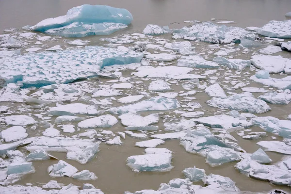 Viele Kleine Blaue Eisberge Treiben — Stockfoto