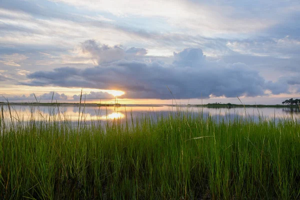 日落时湖边绿草的美丽景色 — 图库照片