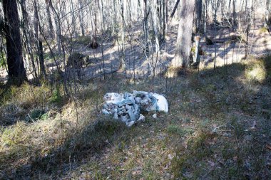 Ormandaki çöplere yakın çekim.