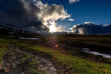 Yeşil bir çayırın güzel manzarası