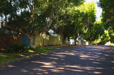 Öğleden sonra ışığında normal Avustralya banliyösü