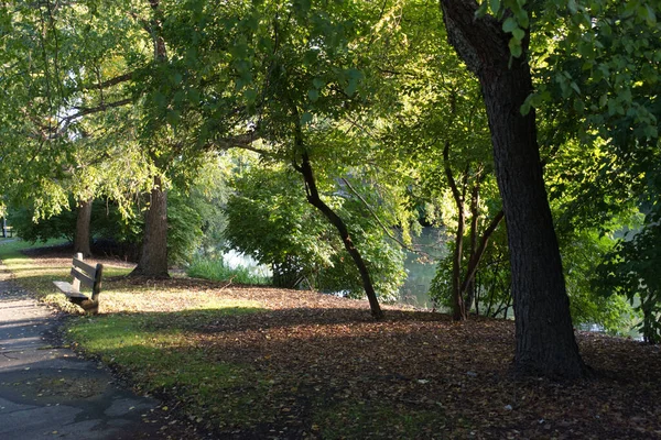 Calm Scene Autumn Park Landscape Small Bench Alley River View — Stock Photo, Image