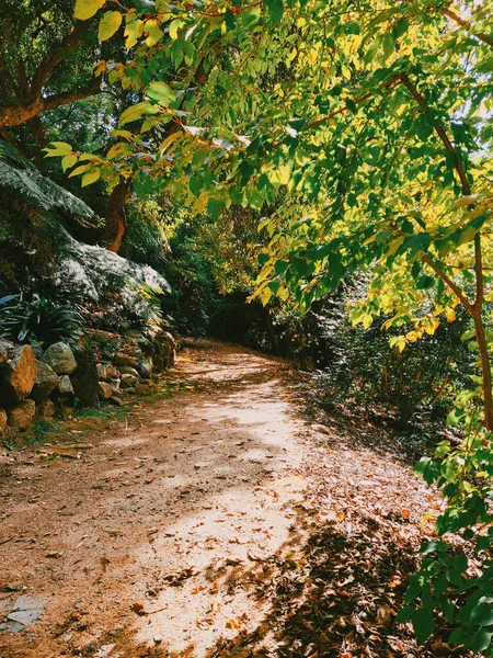 Una Hermosa Escena Con Camino Pintoresco Parque — Foto de Stock