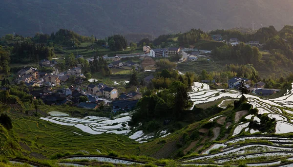 Beautiful High Angle View Rice Terraces Philippine Cordillera — Stock Photo, Image