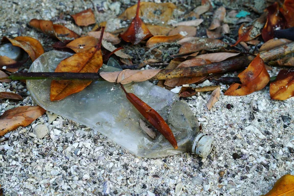Eine Plastikflasche Mit Laub Bedeckt Auf Einem Boden — Stockfoto