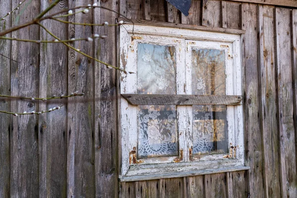 Old Shabby Distressed Window Polish Wodden Cottage House Tree Branch — Stock Photo, Image