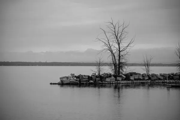 カナダのモントリオールにある湖の上に小さな葉のない木がある岩から桟橋の灰色のショット — ストック写真
