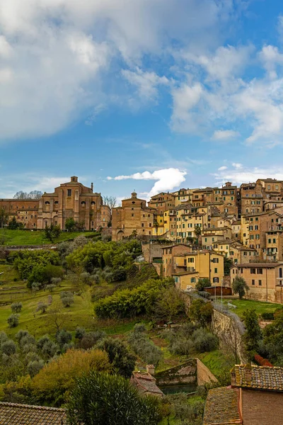 Colpo Verticale Vecchi Edifici Siena Toscana Italia — Foto Stock