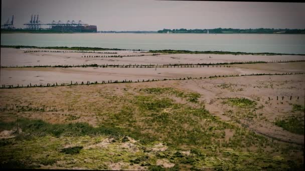 オーウェル川の横の畑や波止場のパノラマ写真 — ストック動画