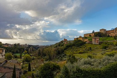 Siena, Toskana, İtalya 'da yeşil ağaçlarla çevrili eski binalar.