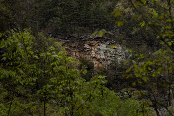 Beau Paysage Montagne Chattanooga Tennessee — Photo