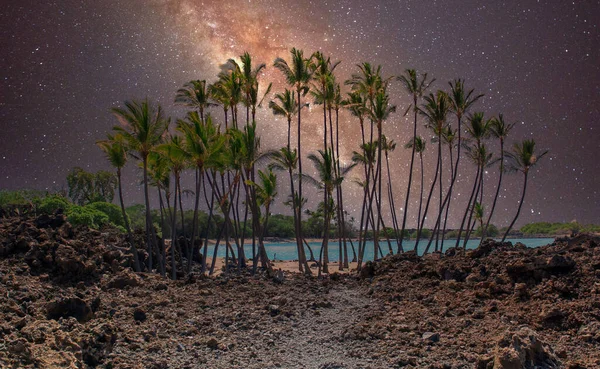 Krajina Palem Pláži Pod Hvězdnou Noční Oblohou — Stock fotografie