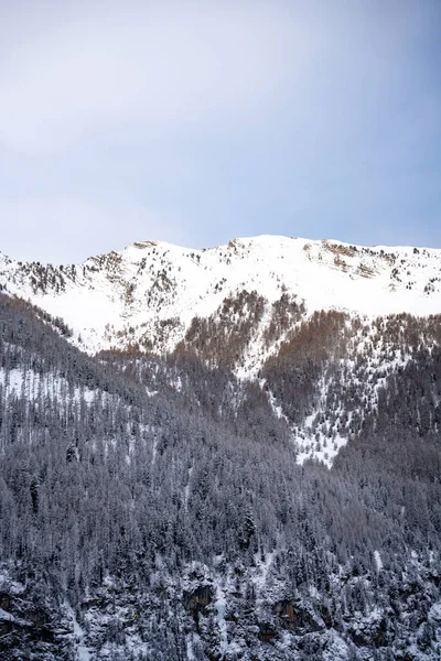 Tiro Vertical Montanhas Nevadas Florestadas — Fotografia de Stock