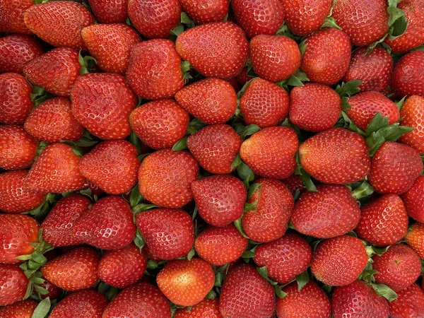 Fresas Rojas Frescas Frutas Tropicales Naturales — Foto de Stock