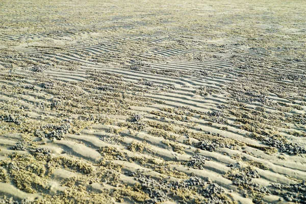 모래를 자연적으로 바라본 — 스톡 사진
