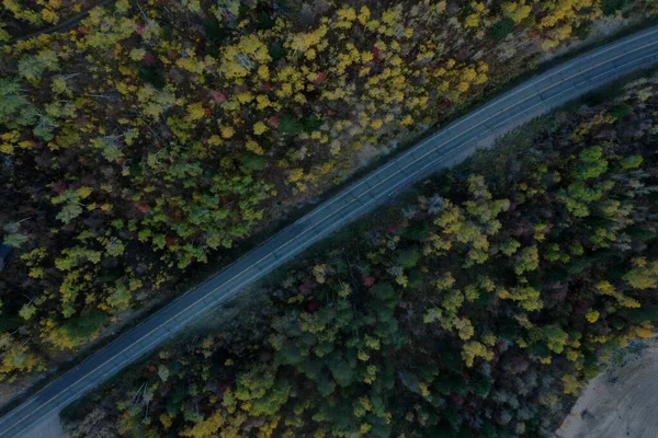 Vzdušný Pohled Shora Cestu Procházející Lesy — Stock fotografie