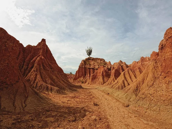 Uma Bela Foto Deserto Tatacoa Colômbia Durante Dia — Fotografia de Stock