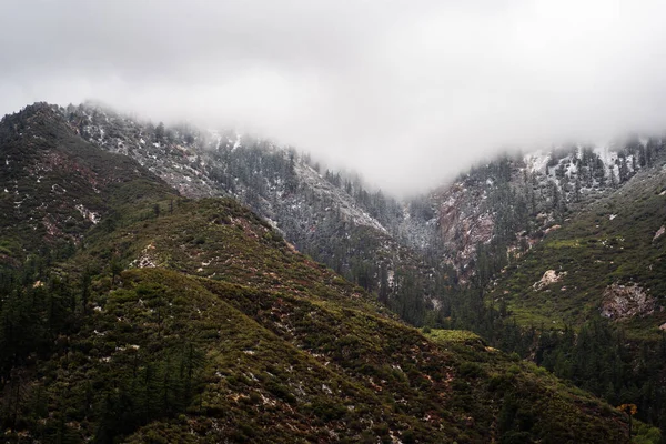 Une Montagne Couverte Herbe Verte Arbres Épais Brouillard Sur Dessus — Photo