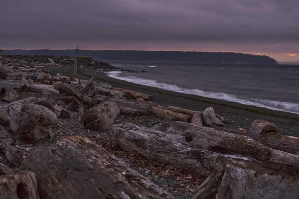 Una Vista Los Viejos Troncos Madera Deriva Desgastados Una Playa — Foto de Stock