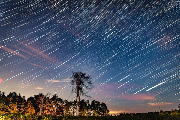 A beautiful view of a star trail in a colorful dark sky at night over a forest