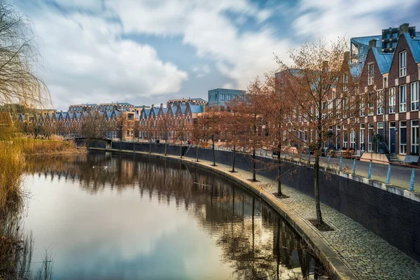 Vista Delle Case Sulla Riva Del Fiume Amsterdam Paesi Bassi — Foto Stock
