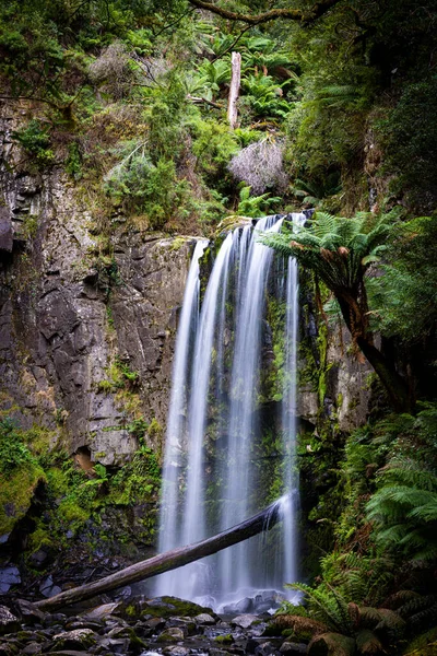 Вертикальный Снимок Водопада Стекающего Скалам Покрытым Мхом Национальном Парке Отвейс — стоковое фото
