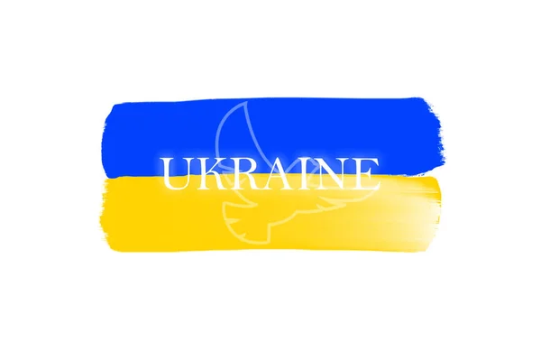 Vektor Illustration Ukraines Flag - Stock-foto